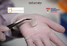 Printable Human Skin Developed – ‘A Game-Changing Step’ Printable Human Skin by Scientists
