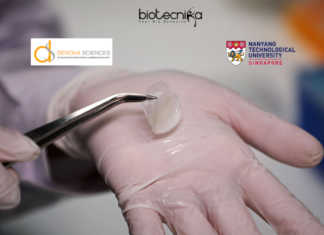 Printable Human Skin Developed – ‘A Game-Changing Step’ Printable Human Skin by Scientists