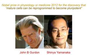 Stem Cell Research Career