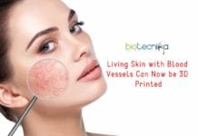 Living Skin with Blood Vessels Can Now be 3D Printed 3D-Printing of Living Skin