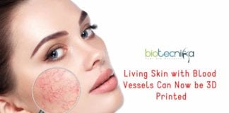 3D-Printing of Living Skin