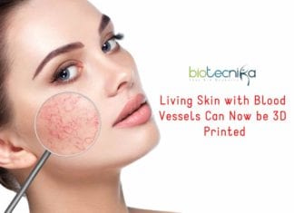 Living Skin with Blood Vessels Can Now be 3D Printed 3D-Printing of Living Skin