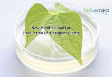 A Newly Modified Tool For Production Of "Designer" Plants