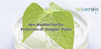 A Newly Modified Tool For Production Of "Designer" Plants