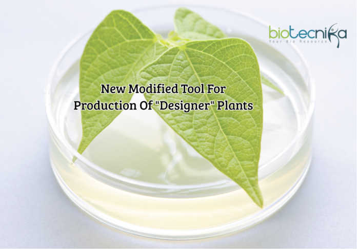 A Newly Modified Tool For Production Of "Designer" Plants