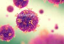 Application for PhD Programme 2019-20 at ICMR-National Institute of Virology Application for PhD Programme