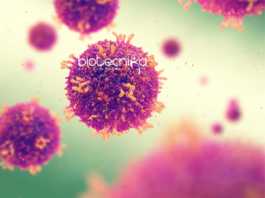 Application for PhD Programme