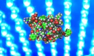 Light activated pancreatic cells