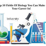 How to write the perfect Ph.D Application?