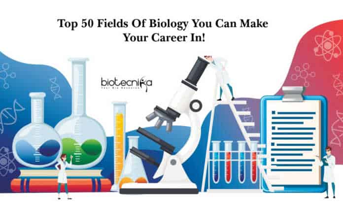 How to write the perfect Ph.D Application?