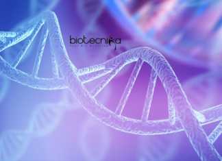 Biological Sciences Genetic Regulation Project Research Job at NIRRH Biological Sciences Genetic Regulation