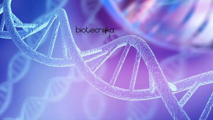 Biological Sciences Genetic Regulation