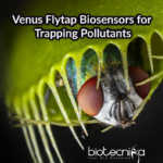Biosensors For Trapping Pollutants | Re-engineered Porphyrin Biosensors