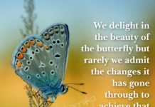 Biotecnika Times – Newsletter 22.11.2019 – Lady Tata Junior Scholarship, IISc R&D Recruitment