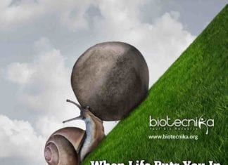 Biotecnika Times – Newsletter 04.11.2019 – Govt BARC Notification, Govt Food & Microbiology