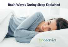 Did You Know ? Our Brain Waves Follow Earthquake Like Patterns During Sleep! Brain waves during sleep, Sleep Brain waves, Micro-earthquakes in Brain, Brain waves in sleep