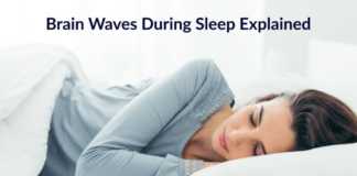 Brain waves during sleep, Sleep Brain waves, Micro-earthquakes in Brain, Brain waves in sleep