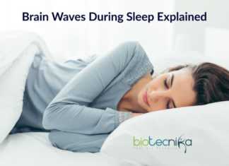 Did You Know ? Our Brain Waves Follow Earthquake Like Patterns During Sleep! Brain waves during sleep, Sleep Brain waves, Micro-earthquakes in Brain, Brain waves in sleep