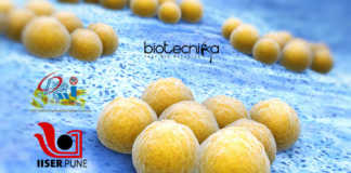CDRI-IISER Antibiotic For Superbugs