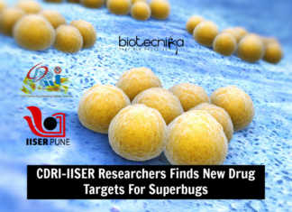 CDRI-IISER Researchers Finds New Drug Targets For Superbugs CDRI-IISER Antibiotic For Superbugs