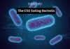CO2 Eating Bacteria Is Here And It Promises To Save The World From Global Warming! CO2 Eating Bacteria