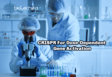 Scientists Use CRISPR For Dose-Dependent Gene Activation CRISPR For Dose-Dependent Gene Activation