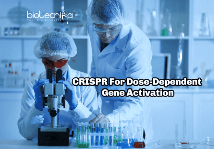 CRISPR For Dose-Dependent Gene Activation