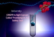 CRISPR To Fight Cancer Called ‘Promising’ In 1st Safety Test CRISPR to fight Cancer Called 'Promising' In 1st Safety Test