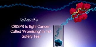 CRISPR to fight Cancer Called 'Promising' In 1st Safety Test