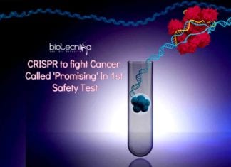 CRISPR To Fight Cancer Called ‘Promising’ In 1st Safety Test CRISPR to fight Cancer Called 'Promising' In 1st Safety Test