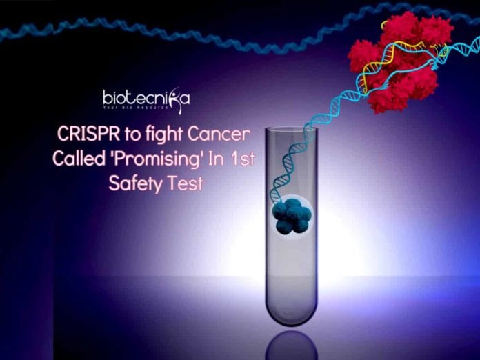 CRISPR to fight Cancer Called 'Promising' In 1st Safety Test