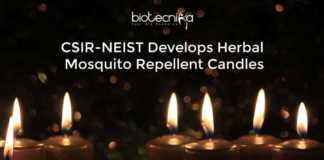 CSIR-NEIST Herbal Candles