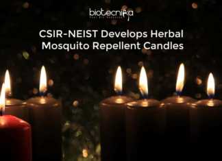 CSIR-NEIST Mosquito Repellent Herbal Candles Are Here To The Rescue! CSIR-NEIST Herbal Candles
