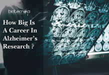 How Big Is A Career In Alzheimer’s Research ? Scope & Job prospects Career-In-Alzheimer’s-Research