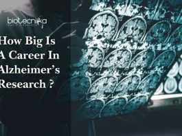 Career-In-Alzheimer’s-Research