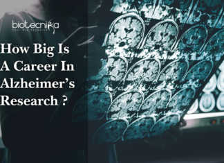 How Big Is A Career In Alzheimer’s Research ? Scope & Job prospects Career-In-Alzheimer’s-Research
