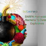 DARPA bacteria detect bombs