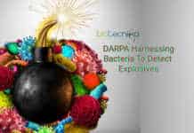 DARPA Developing Microscopic Bomb Detector; Bacteria That Detects Explosives! DARPA bacteria detect bombs