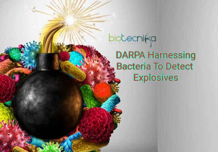 DARPA bacteria detect bombs