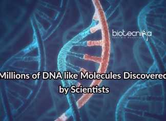 Scientists Discover Millions of Other DNA-Like Molecules DNA Like Molecules