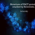 DNA's chaperone: FACT Protein, Its Structure Finally Decoded.