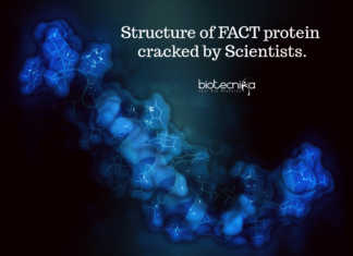For the First Time in Many Years, Scientists Decode DNA’s Chaperone Protein Structure DNA's chaperone: FACT Protein, Its Structure Finally Decoded.
