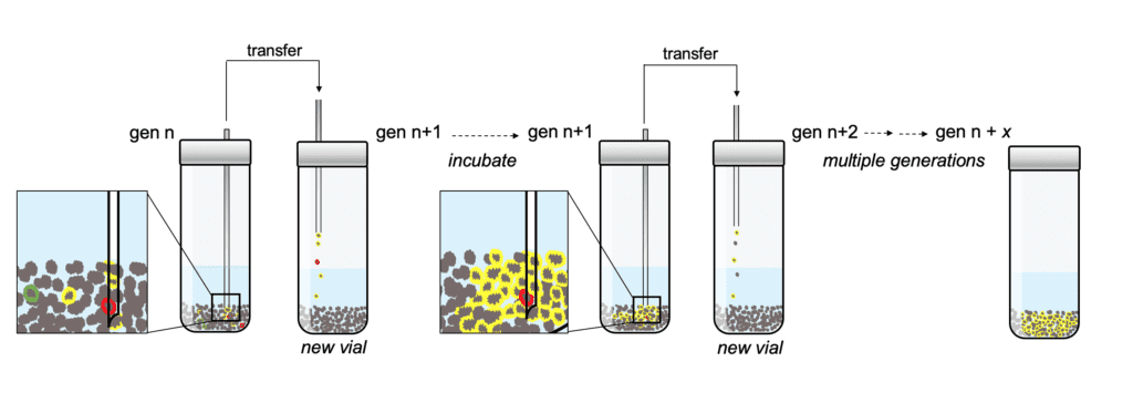 New Study On Origin of Life