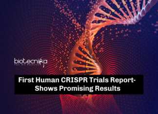 First Human CRISPR Trials Report Shows Promising Results First Human CRISPR Trials