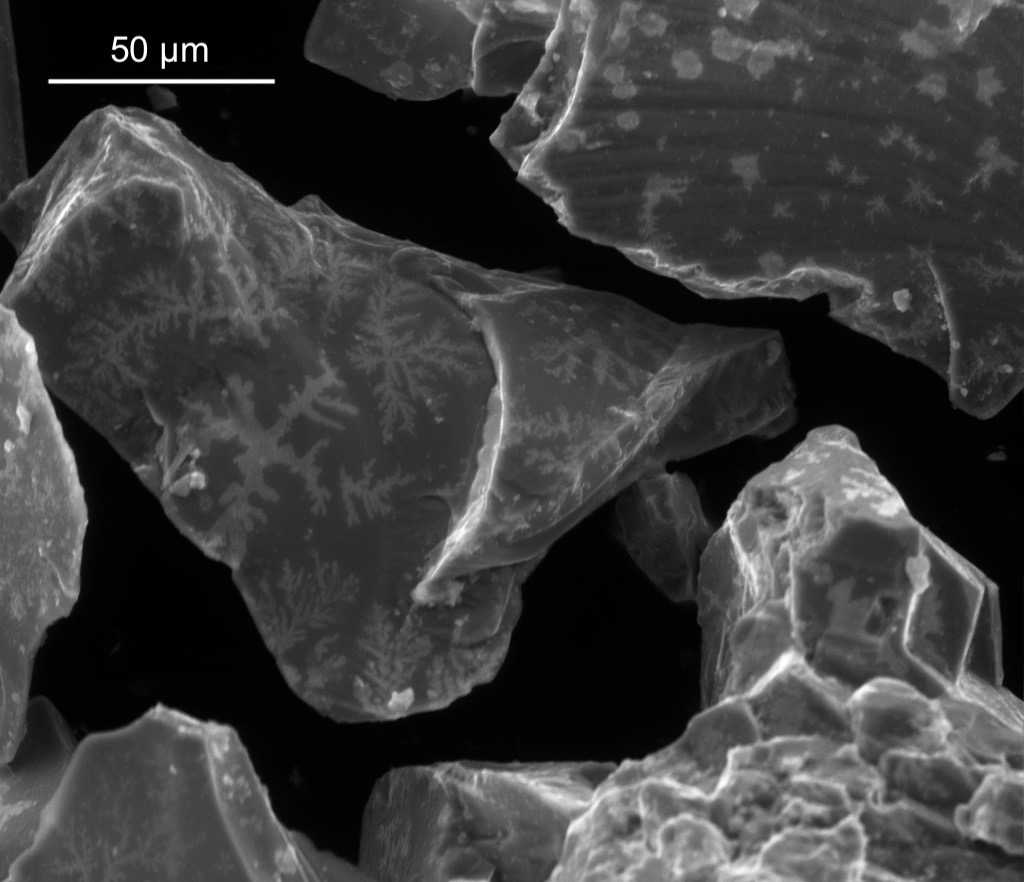 New Study On Origin of Life