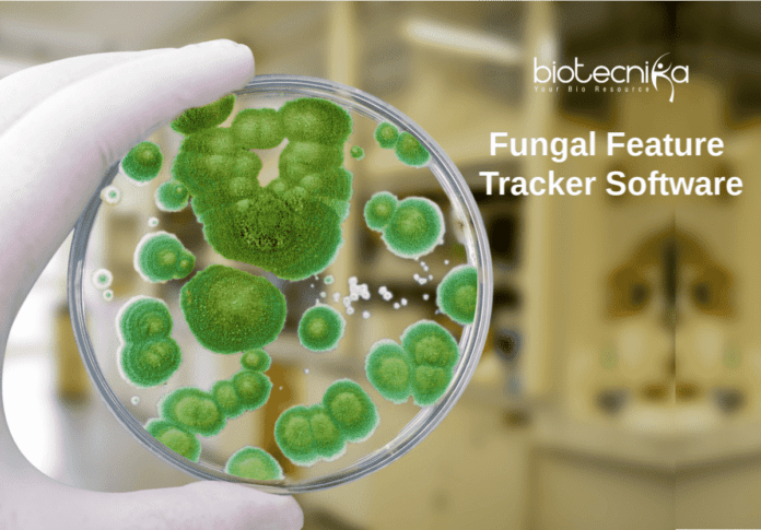 Fungal Feature Tracker Software