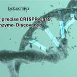 Highly precise CRISPR-Cas9 Enzyme