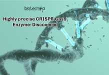 Researchers Develop New CRISPR-Cas9 Enzyme With High Precision! Highly precise CRISPR-Cas9 Enzyme