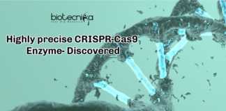 Highly precise CRISPR-Cas9 Enzyme