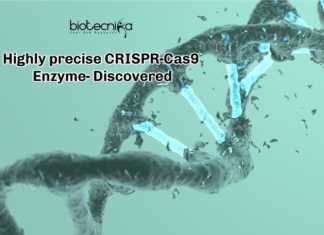 Researchers Develop New CRISPR-Cas9 Enzyme With High Precision! Highly precise CRISPR-Cas9 Enzyme